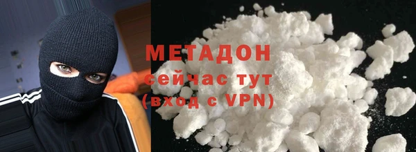 прущие грибы Абаза