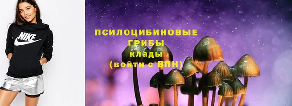 прущие грибы Абаза