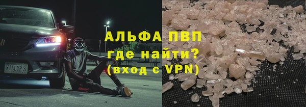 прущие грибы Абаза
