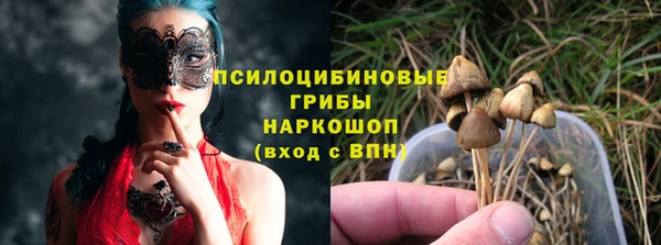 крисы Алзамай